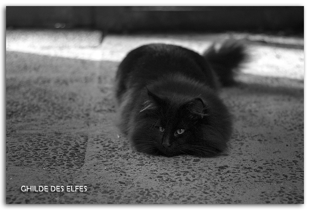 7.5-mois5.jpg - 7,5 mois