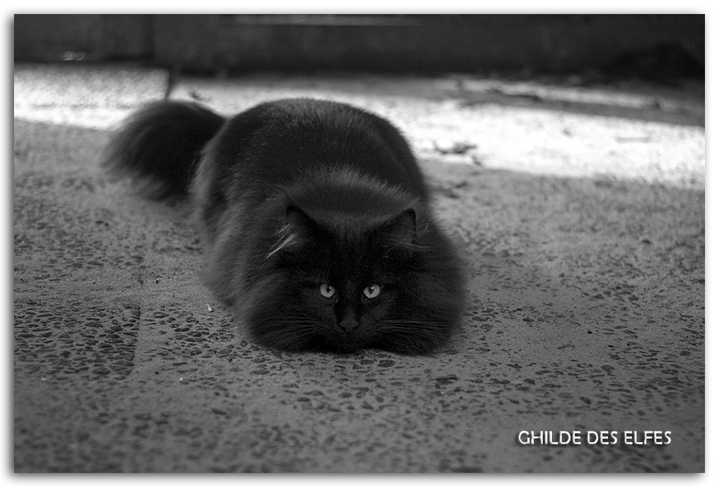 7.5-mois6.jpg - 7,5 mois