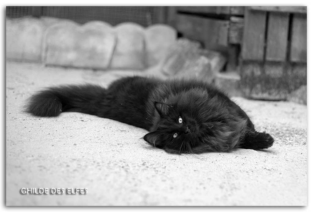 7.5-mois7.jpg - 7,5 mois
