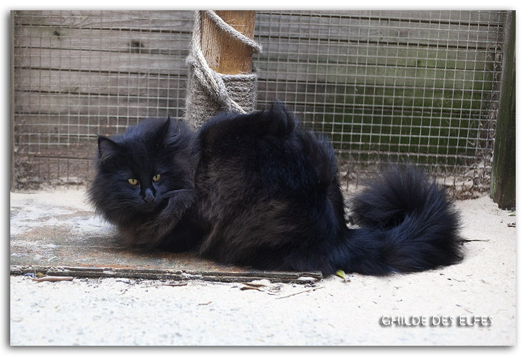 8.5-mois3.jpg - 8,5 mois