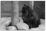 6-mois6_noir-et-blanc