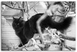 6-mois7_noir-et-blanc